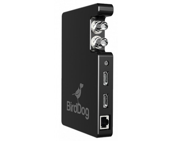 BirdDog HD CONVERTER 3G-SDI